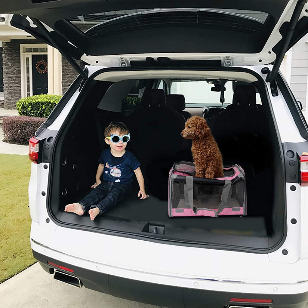Transportín para Perros - imagen 7