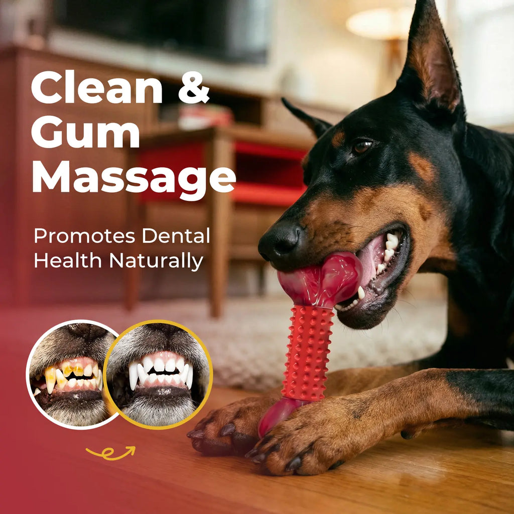 Premio Natural para Perros Ternera - imagen 10