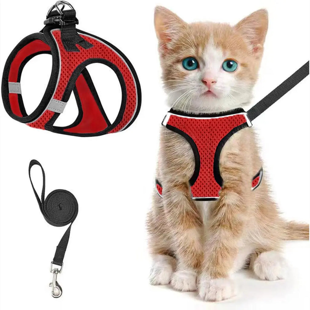 Set Arnés y Correa Ajustable Transpirable para Gatos - imagen 3