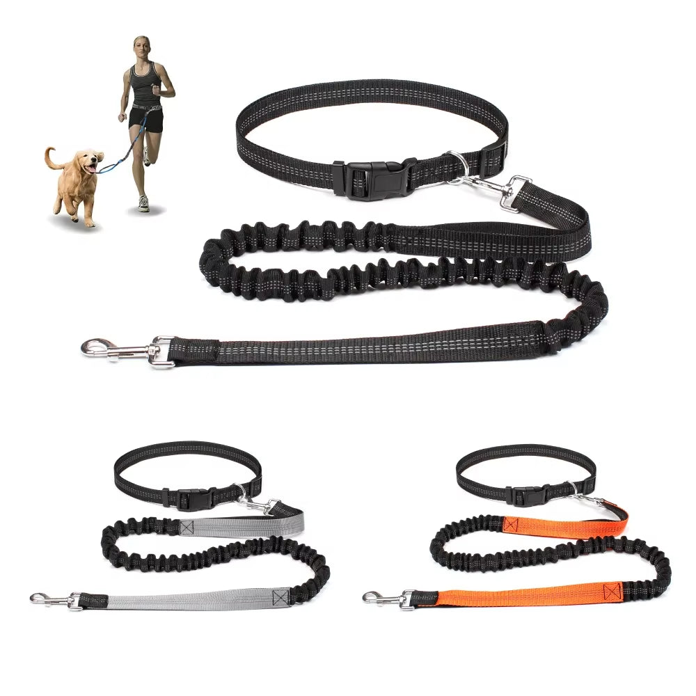 Correa Ajustable para Perros - imagen 2