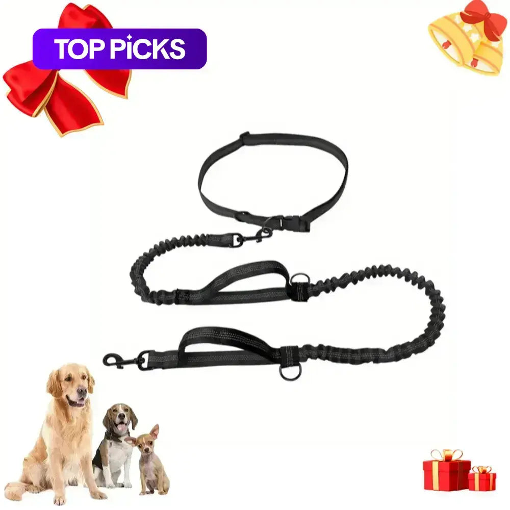 Correa Ajustable Portátil para Perros - imagen 2