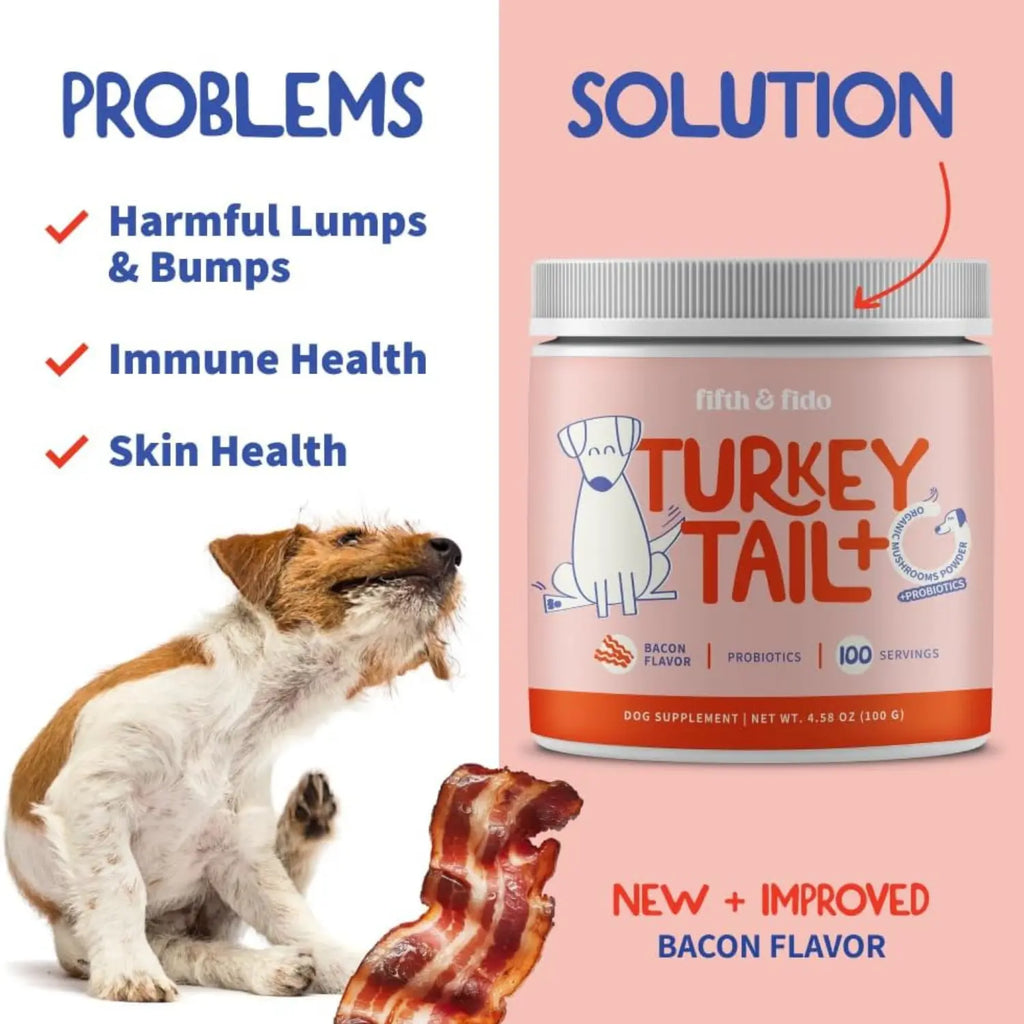Alimento Natural para Perros - imagen 5