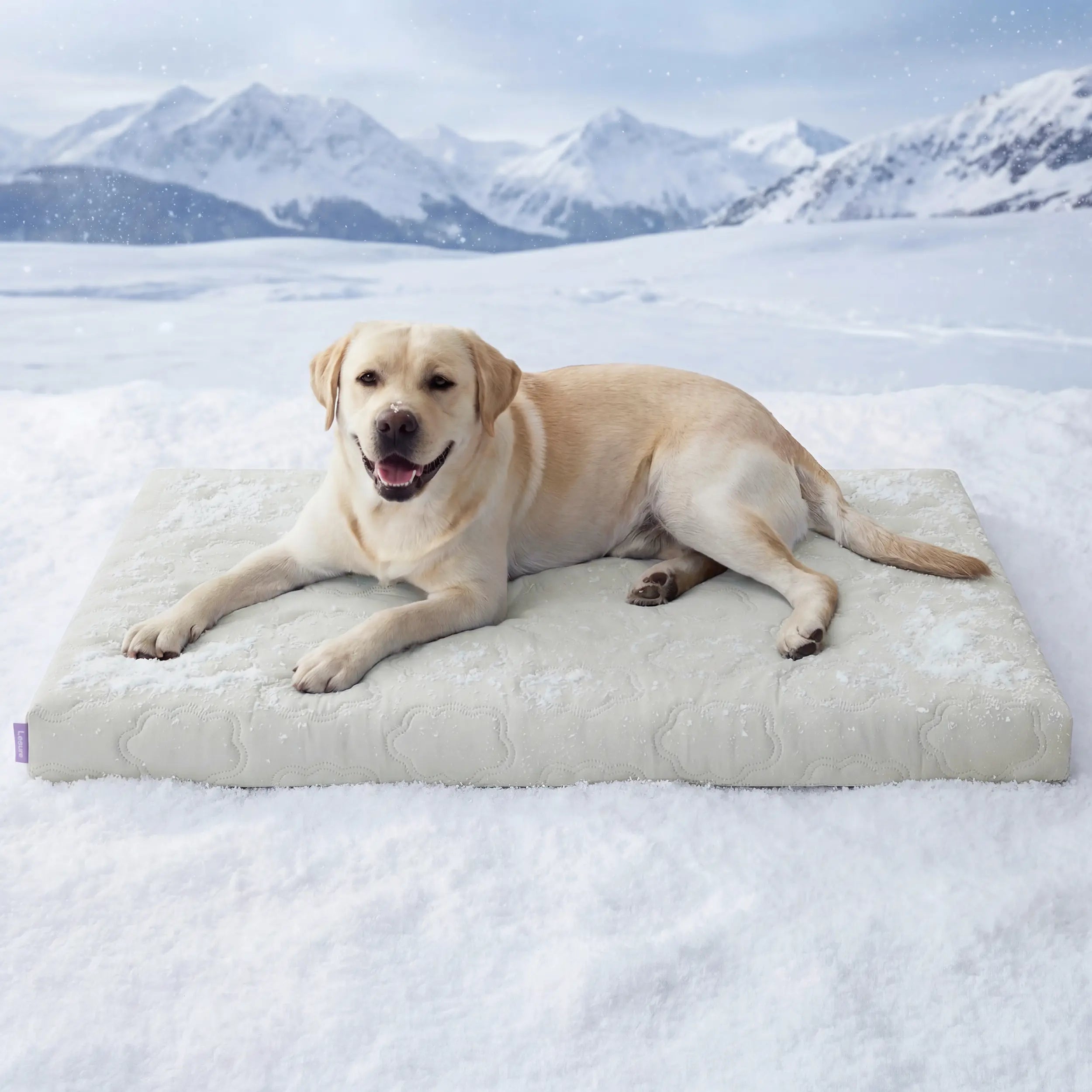 Cama para Mascotas Thin Mat-Azul - imagen 12