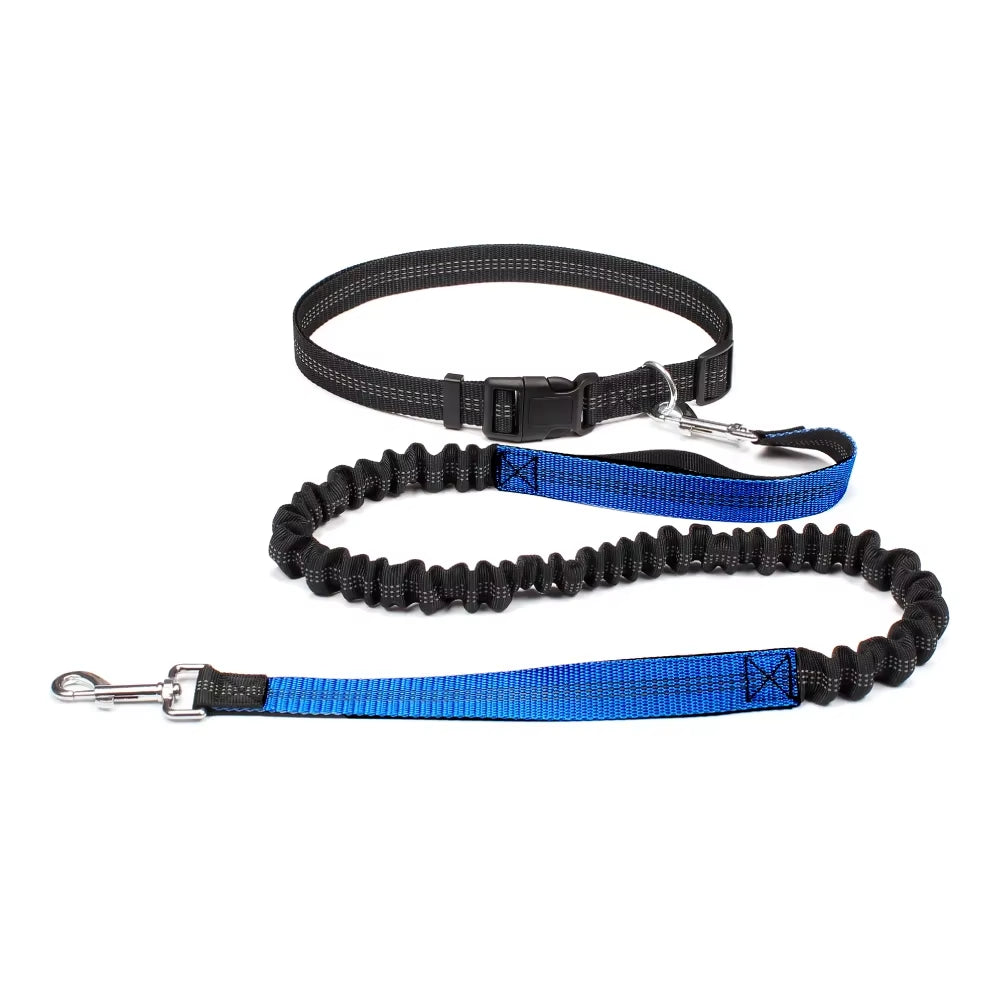 Correa Ajustable para Perros - imagen 5