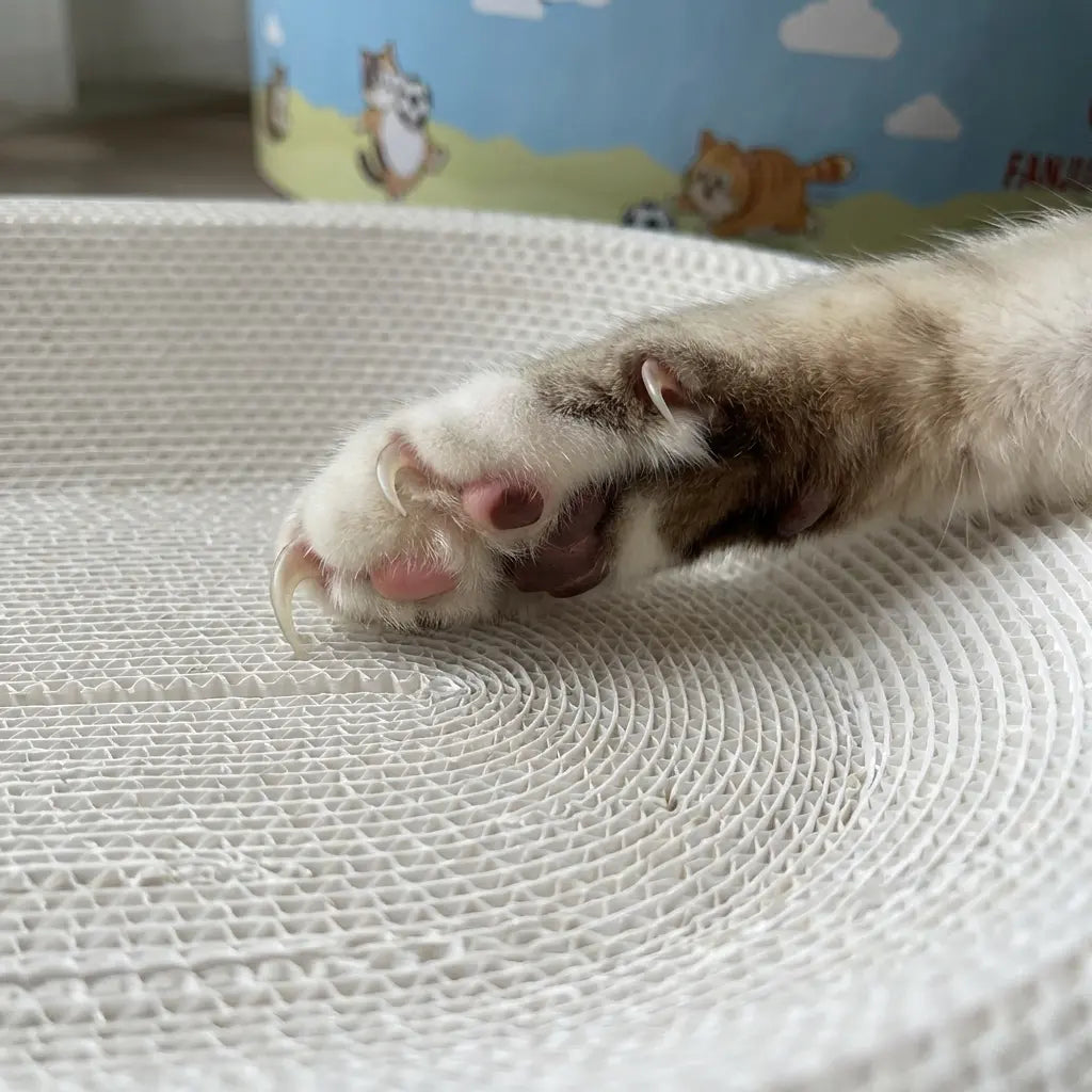 Valla/Parque para Gatos - imagen 7
