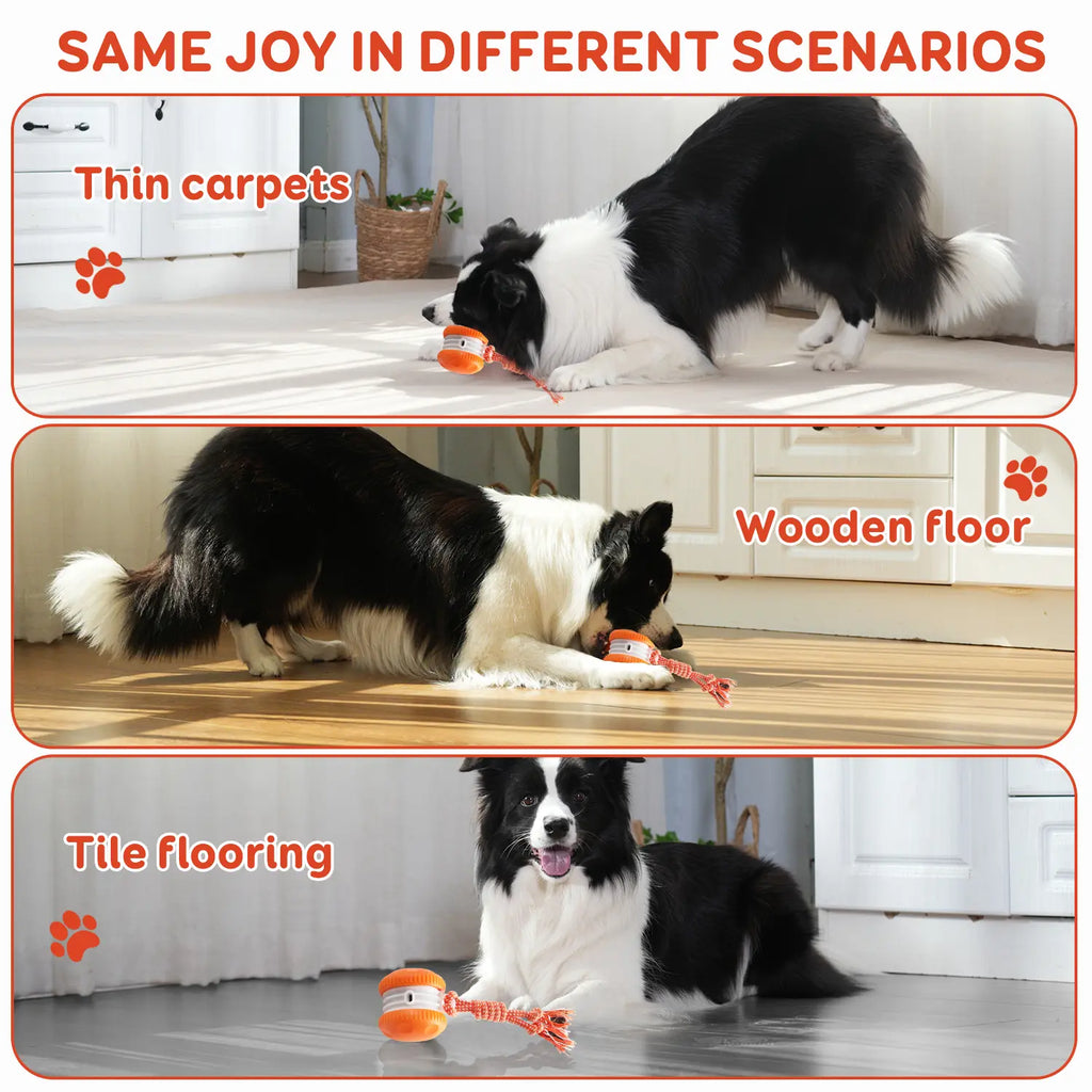 Juguete para Perros - Modelo 2 - imagen 5