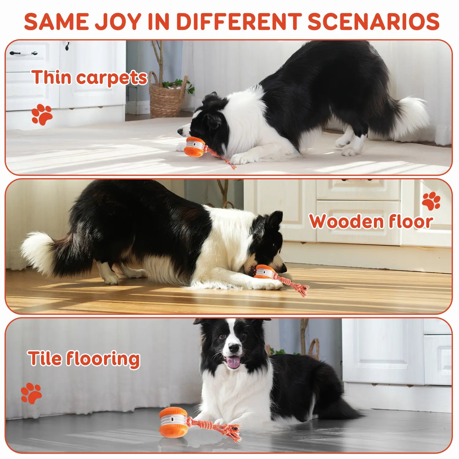 Juguete para Perros - Modelo 2 - imagen 5