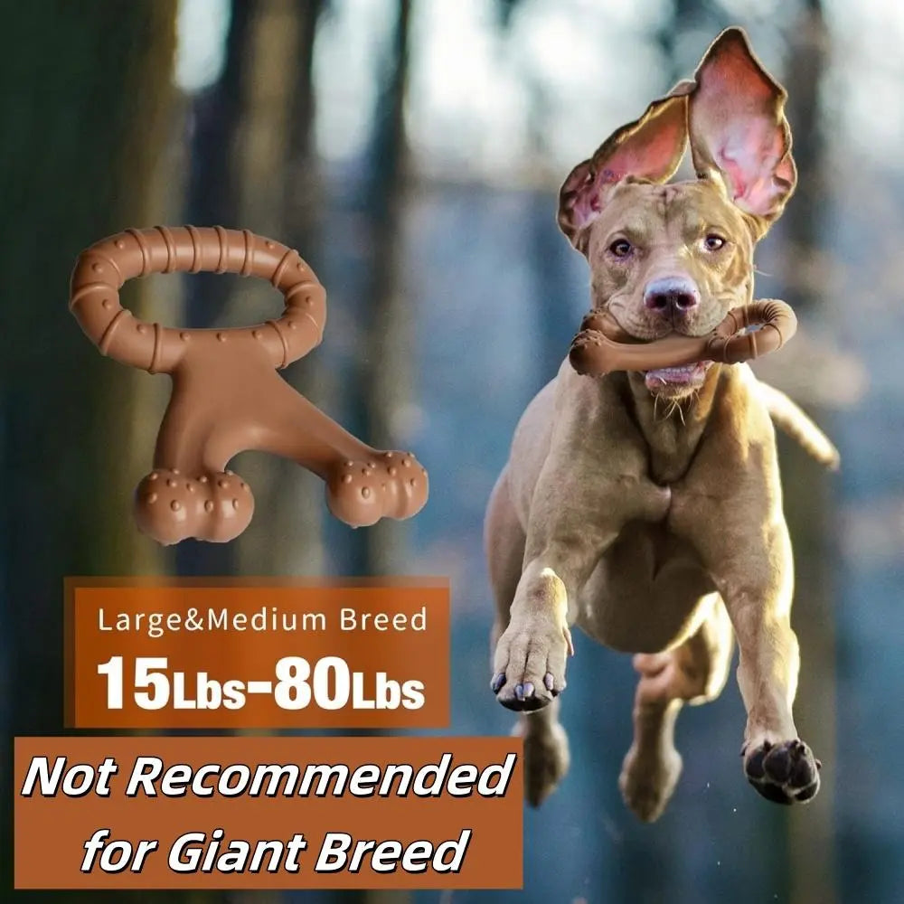 Premio Natural Talla XL para Perros - imagen 5