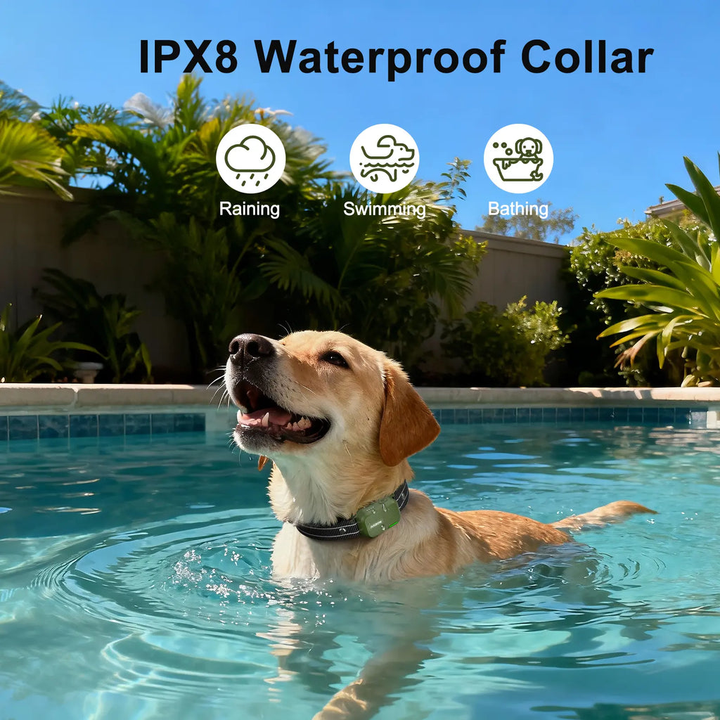 Collar Impermeable para Perros - imagen 6