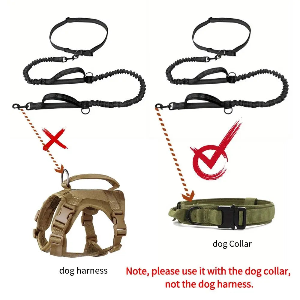 Correa Ajustable Portátil para Perros - imagen 10