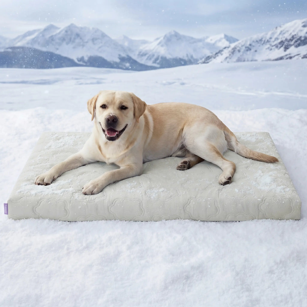 Cama Talla XL para Perros - imagen 11