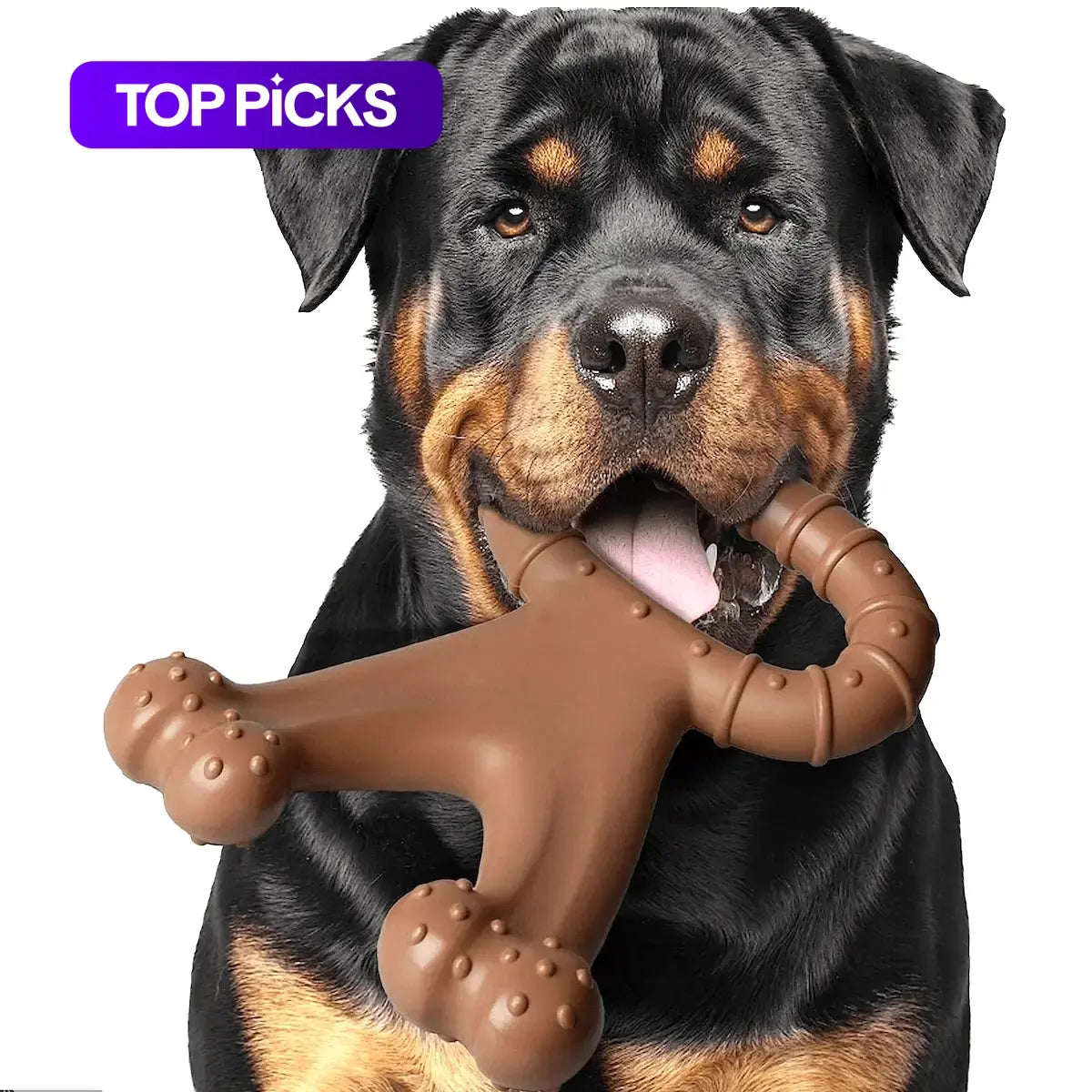 Premio Natural Talla XL para Perros - imagen 2