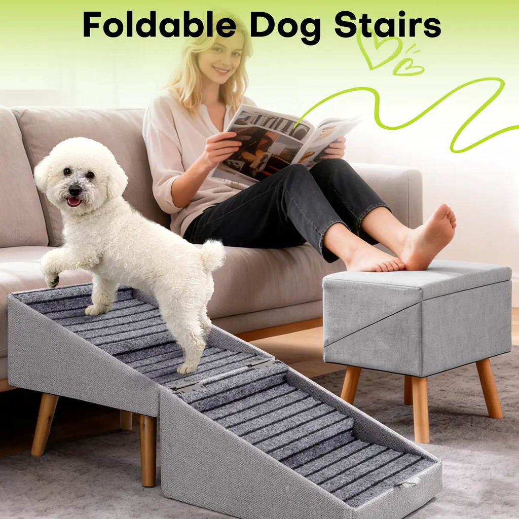 Escalera y Rampa para Perros - imagen 2