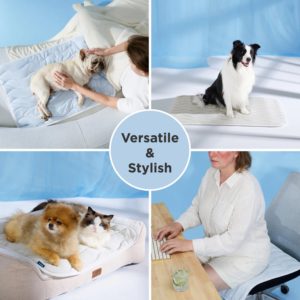 Cama para Mascotas Thin Mat-Azul - imagen 8