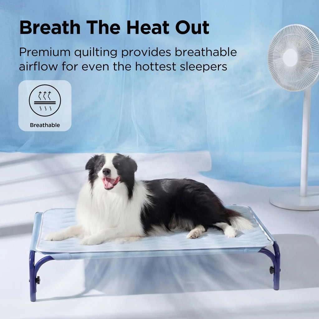 Cama para Mascotas Thin Mat-Azul - imagen 5