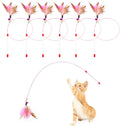 Juguete para Gatos 01 5Pcs