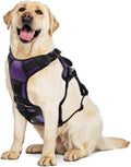 Ropa Reflectante para Perros