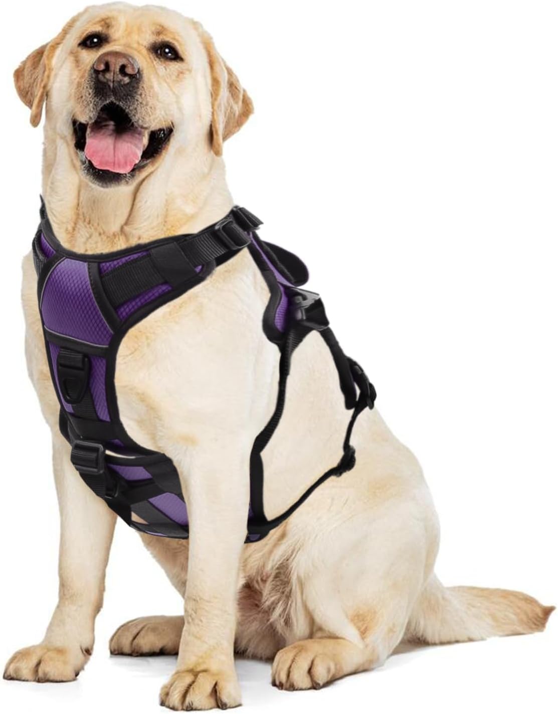 Ropa Reflectante para Perros