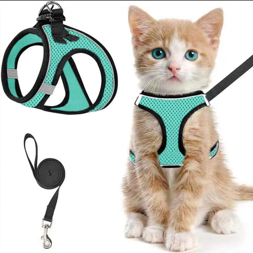 Set Arnés y Correa Ajustable Transpirable para Gatos - imagen 4