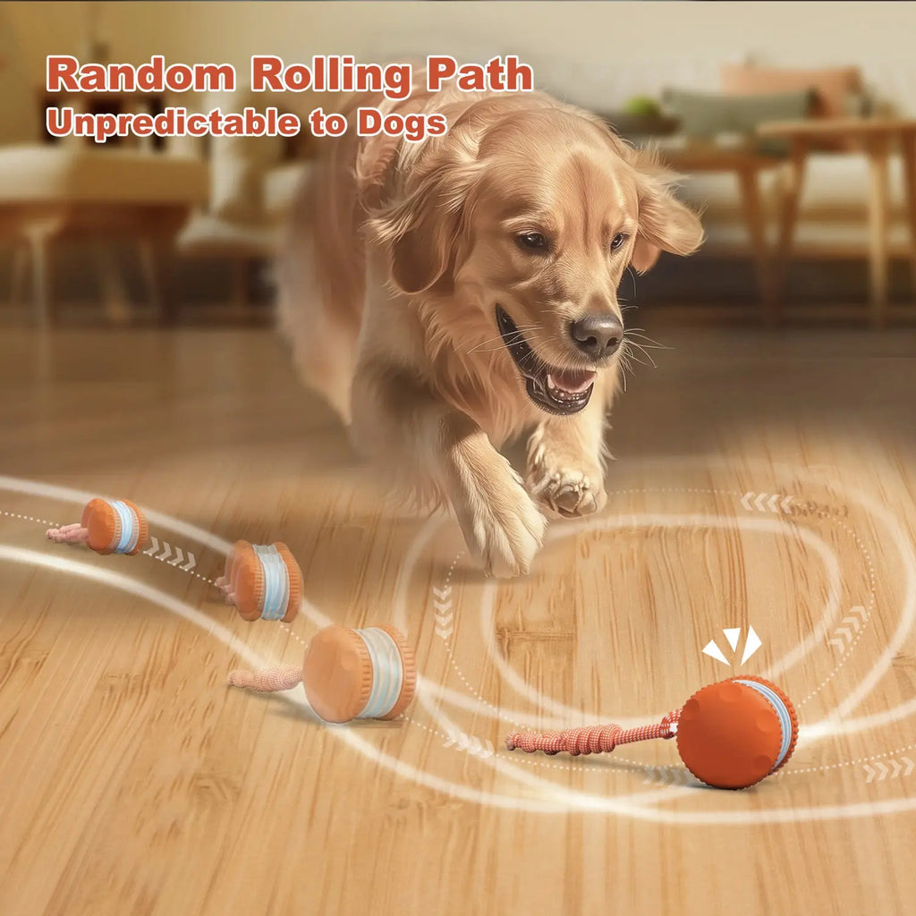 Juguete para Perros - Modelo 2 - imagen 2