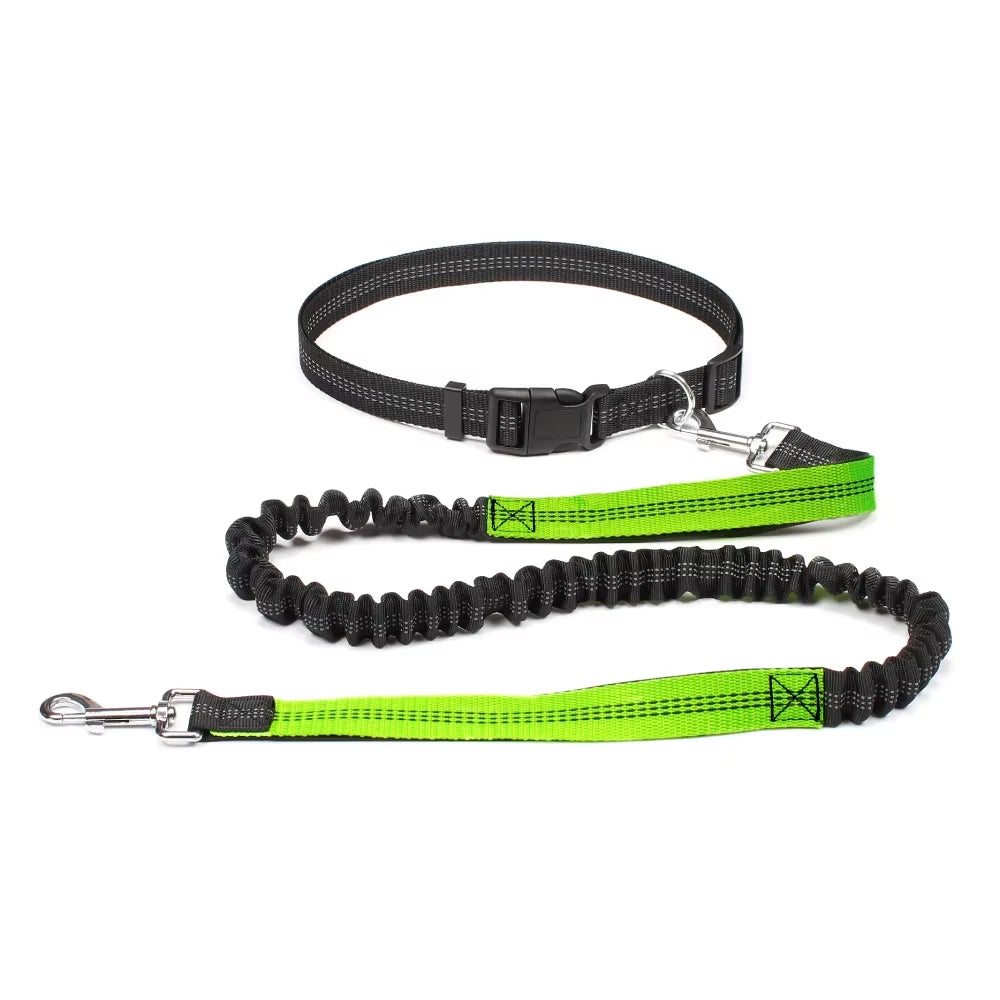 Correa Ajustable para Perros - imagen 9