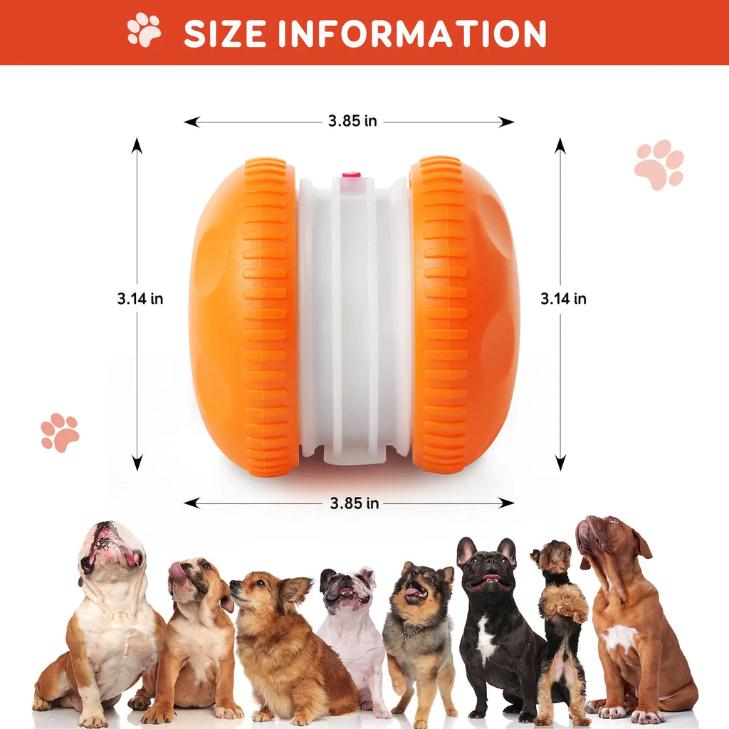 Juguete para Perros - Modelo 2 - imagen 7
