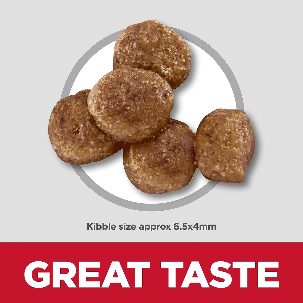 Alimento para Perros - imagen 4