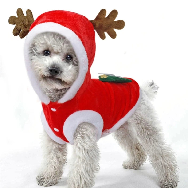 Ropa para Perros Azul - imagen 2