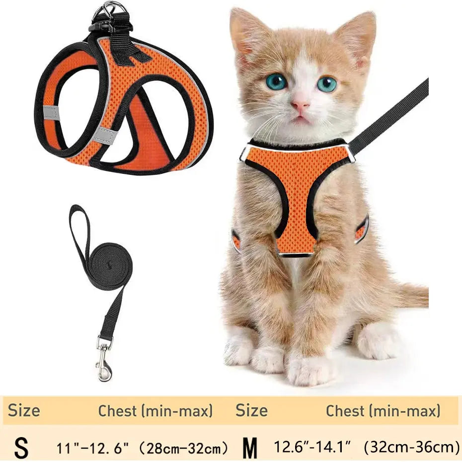 Set Arnés y Correa Ajustable Transpirable para Gatos - imagen 8