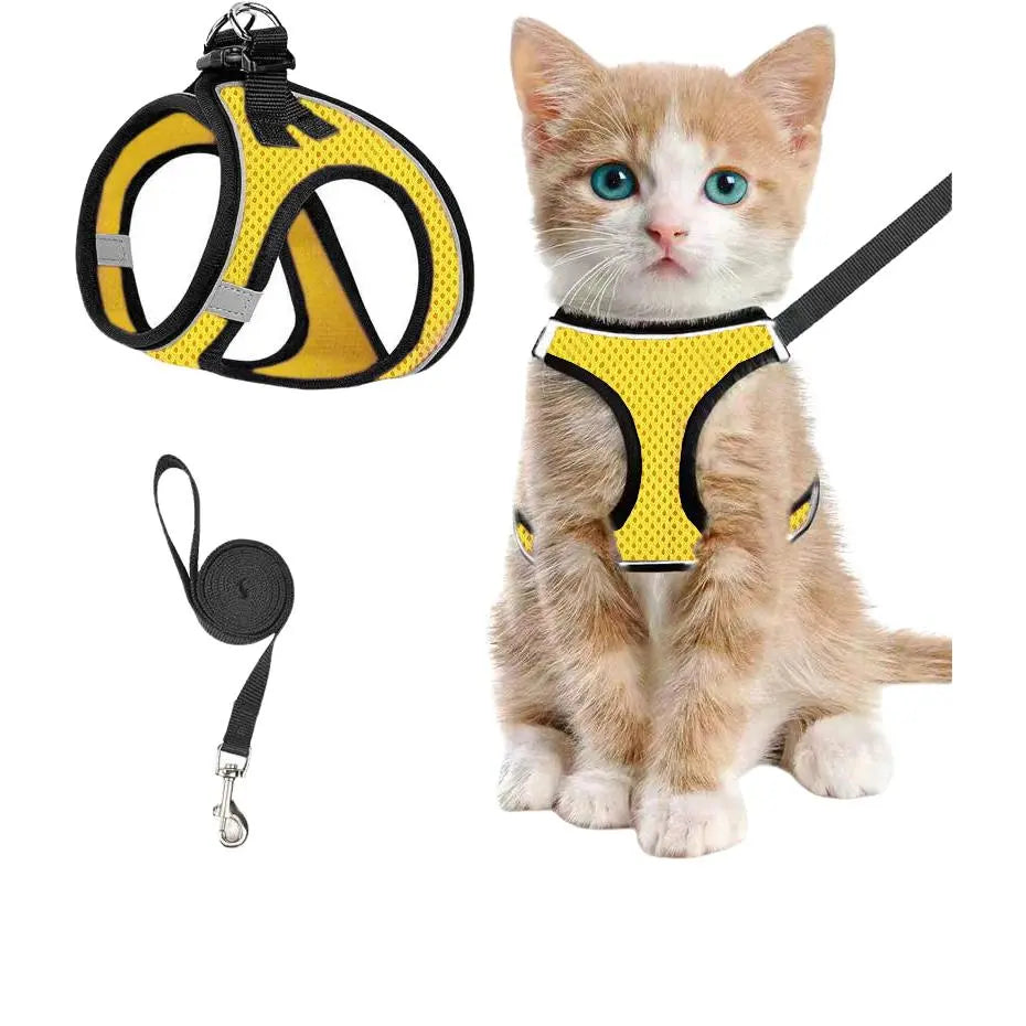 Set Arnés y Correa Ajustable Transpirable para Gatos - imagen 7