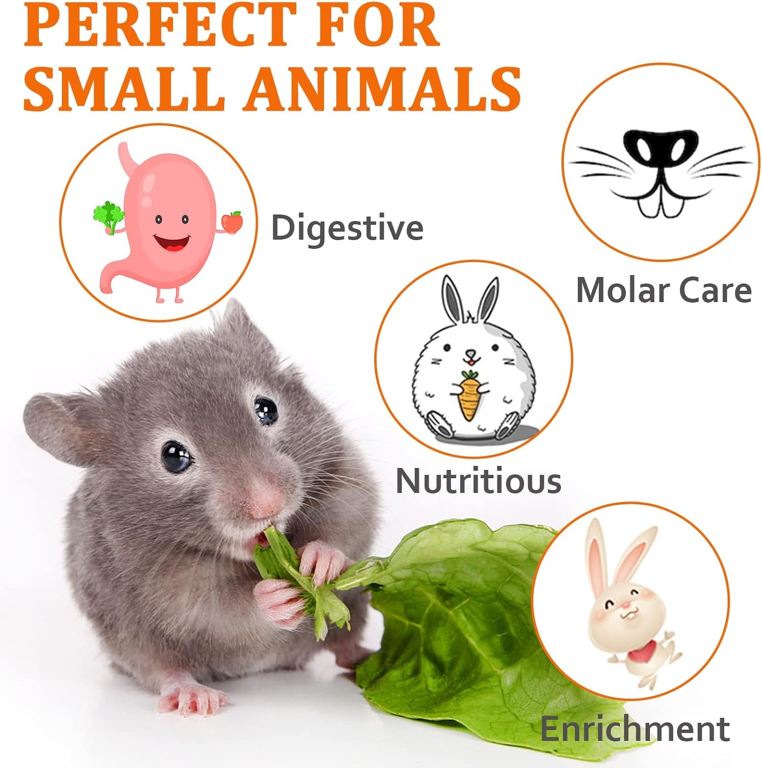 Premio Natural para Animales Pequeños - Modelo 2 - imagen 4