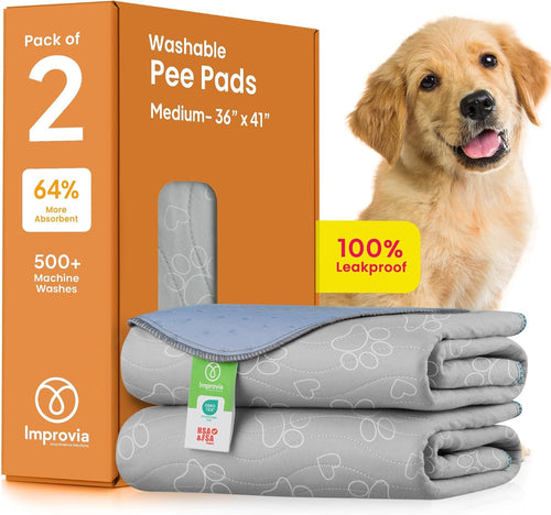 Accesorio de Adiestramiento Impermeable para Perros