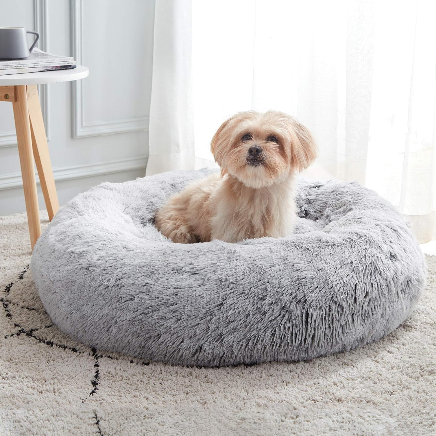Cama para Gatos