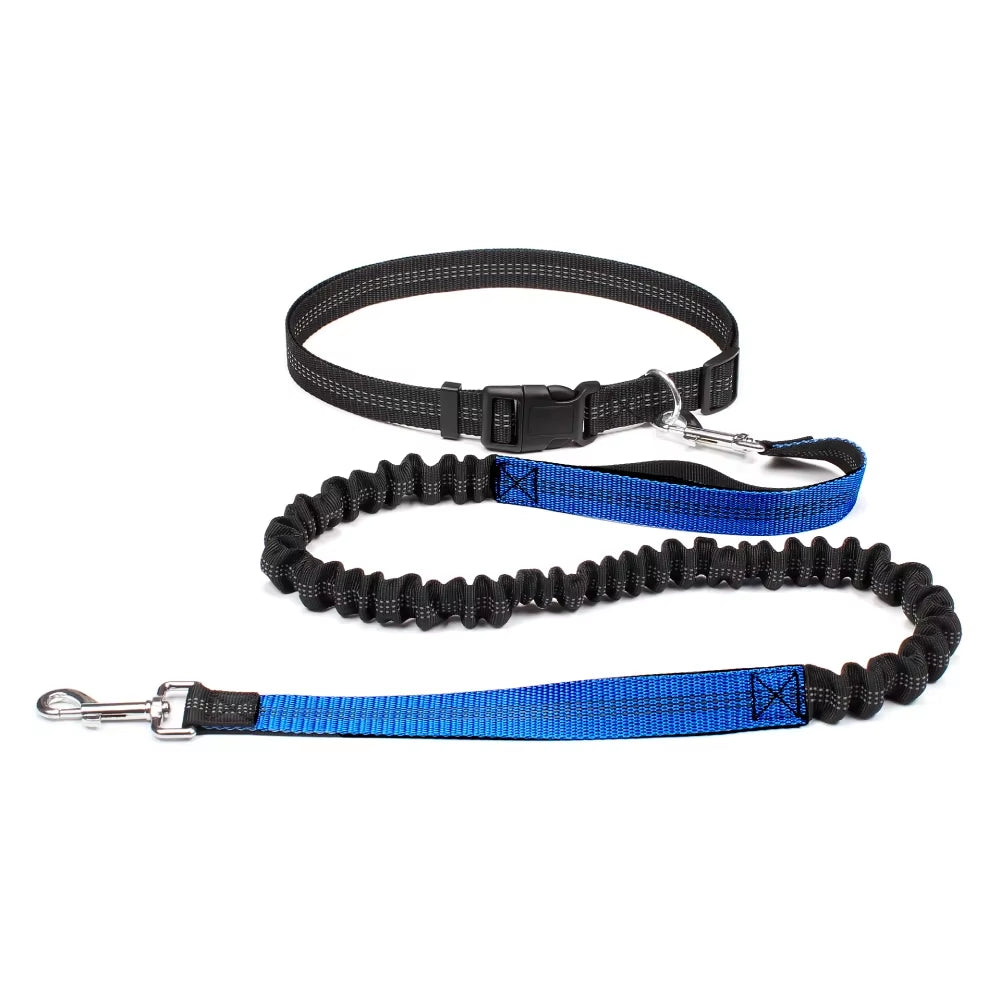 Correa Ajustable para Perros - imagen 8