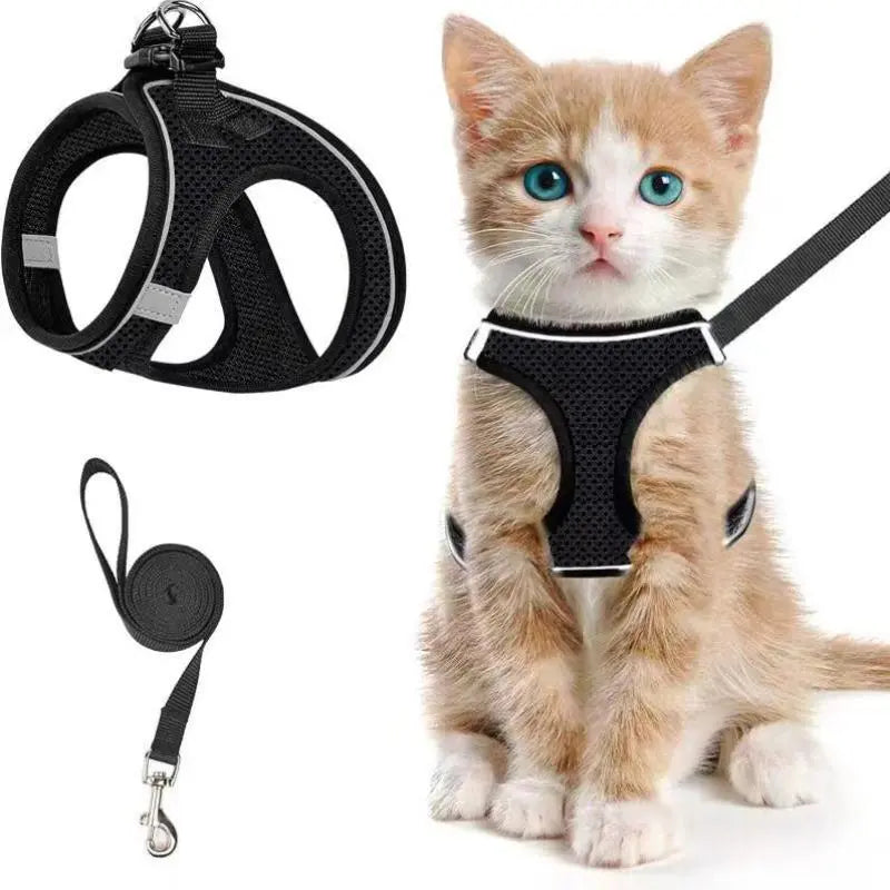 Set Arnés y Correa Ajustable Transpirable para Gatos