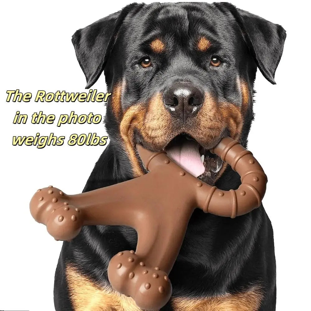 Premio Natural Talla XL para Perros - imagen 6