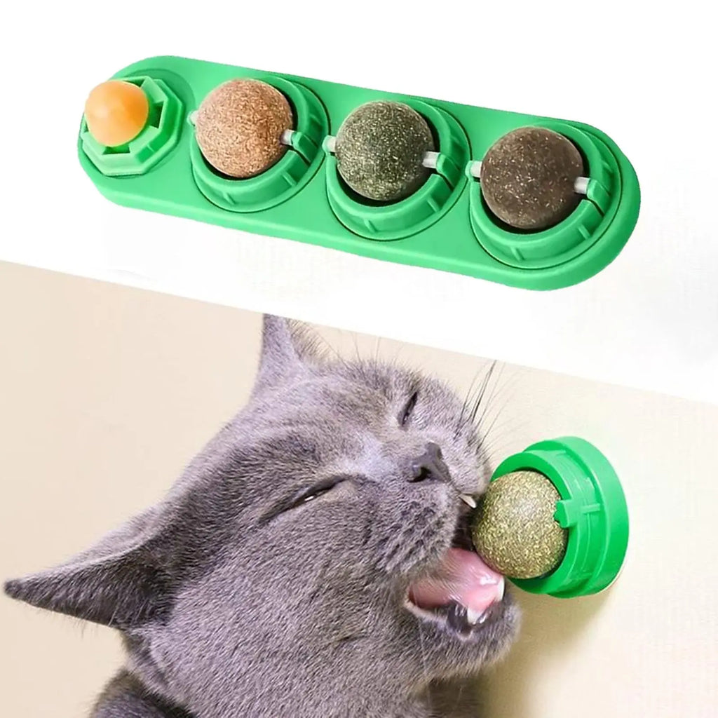 Premio Natural para Gatos - Modelo 2
