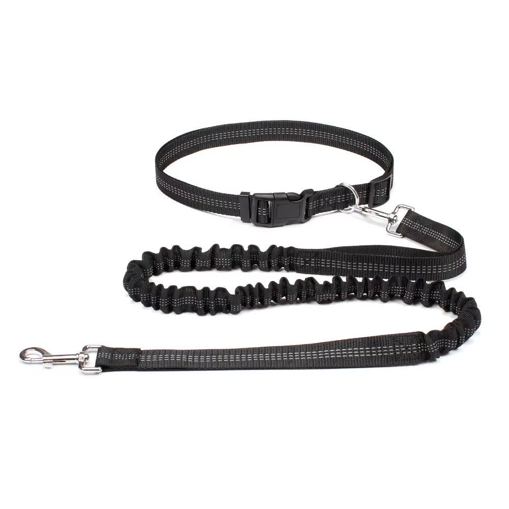 Correa Ajustable para Perros - imagen 10