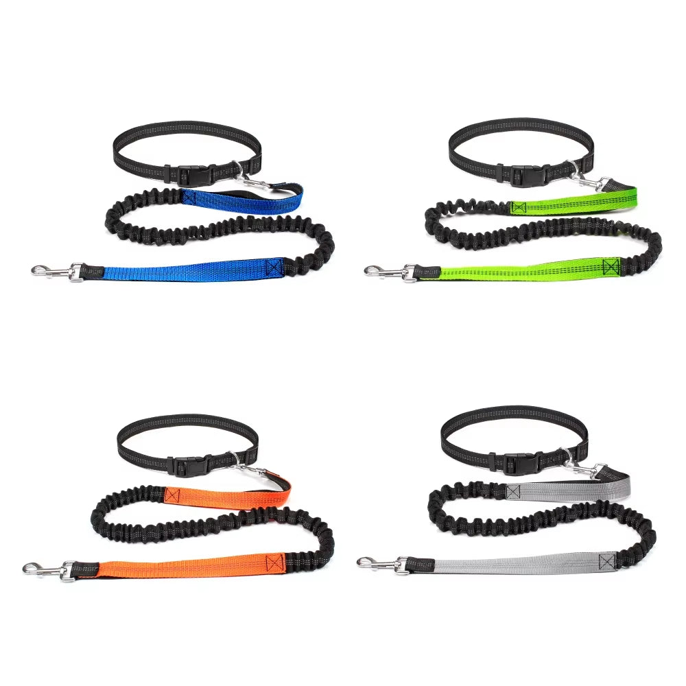 Correa Ajustable para Perros - imagen 3