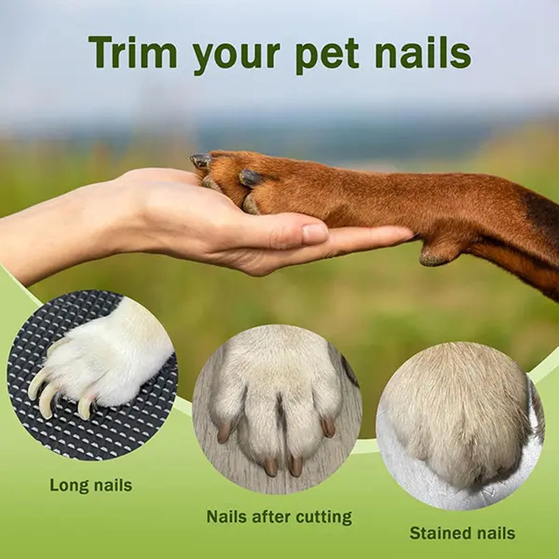 Cortaúñas Set para Perros - imagen 7