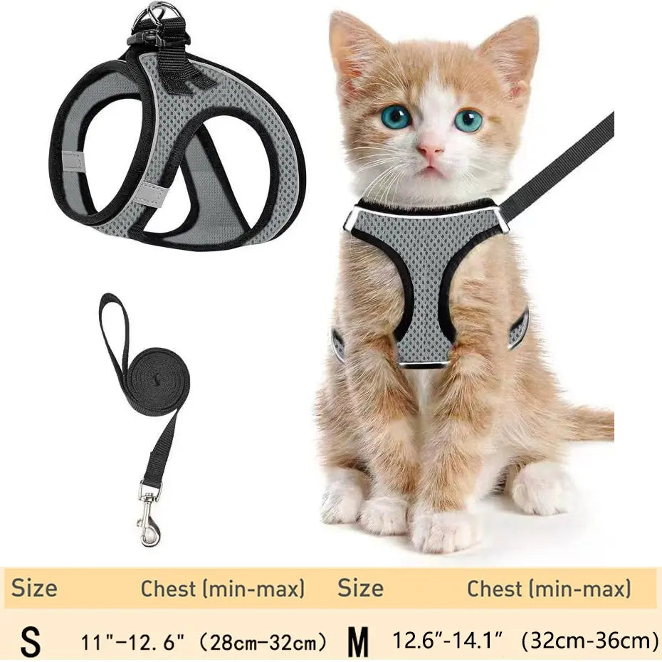 Set Arnés y Correa Ajustable Transpirable para Gatos - imagen 9