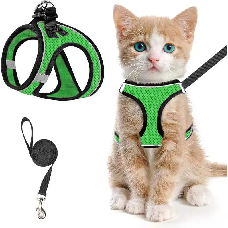 Set Arnés y Correa Ajustable Transpirable para Gatos - imagen 11