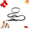 Correa Ajustable Portátil para Perros