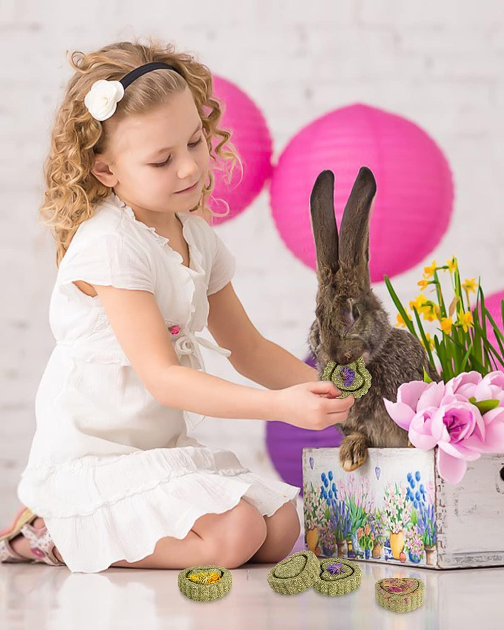 Premio Natural para Animales Pequeños 16Pcs Treats - imagen 5