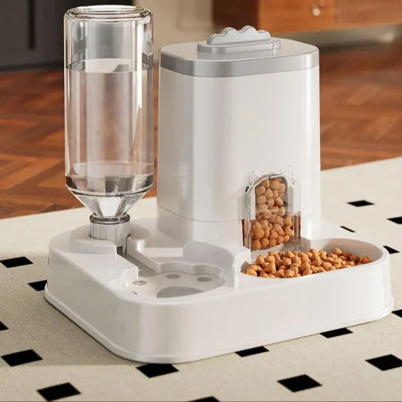 Alimento para Gatos