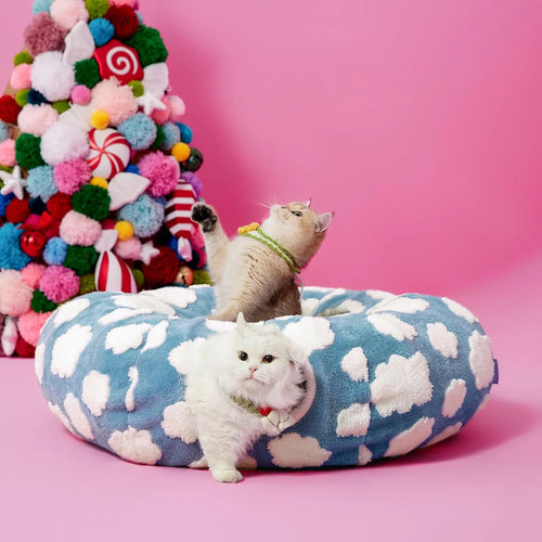 Cama para Perros Light Azul