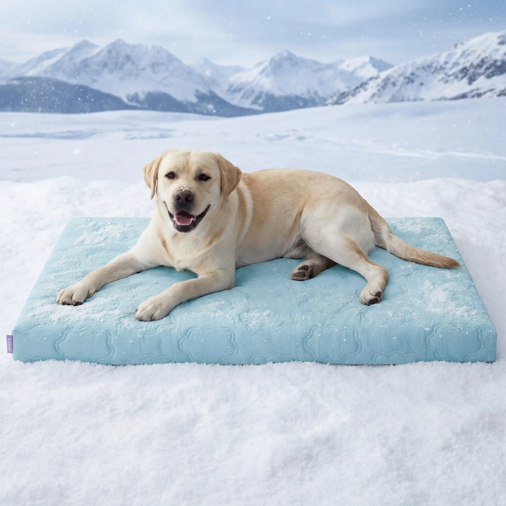 Cama Talla XL para Perros