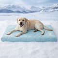 Cama Talla XL para Perros