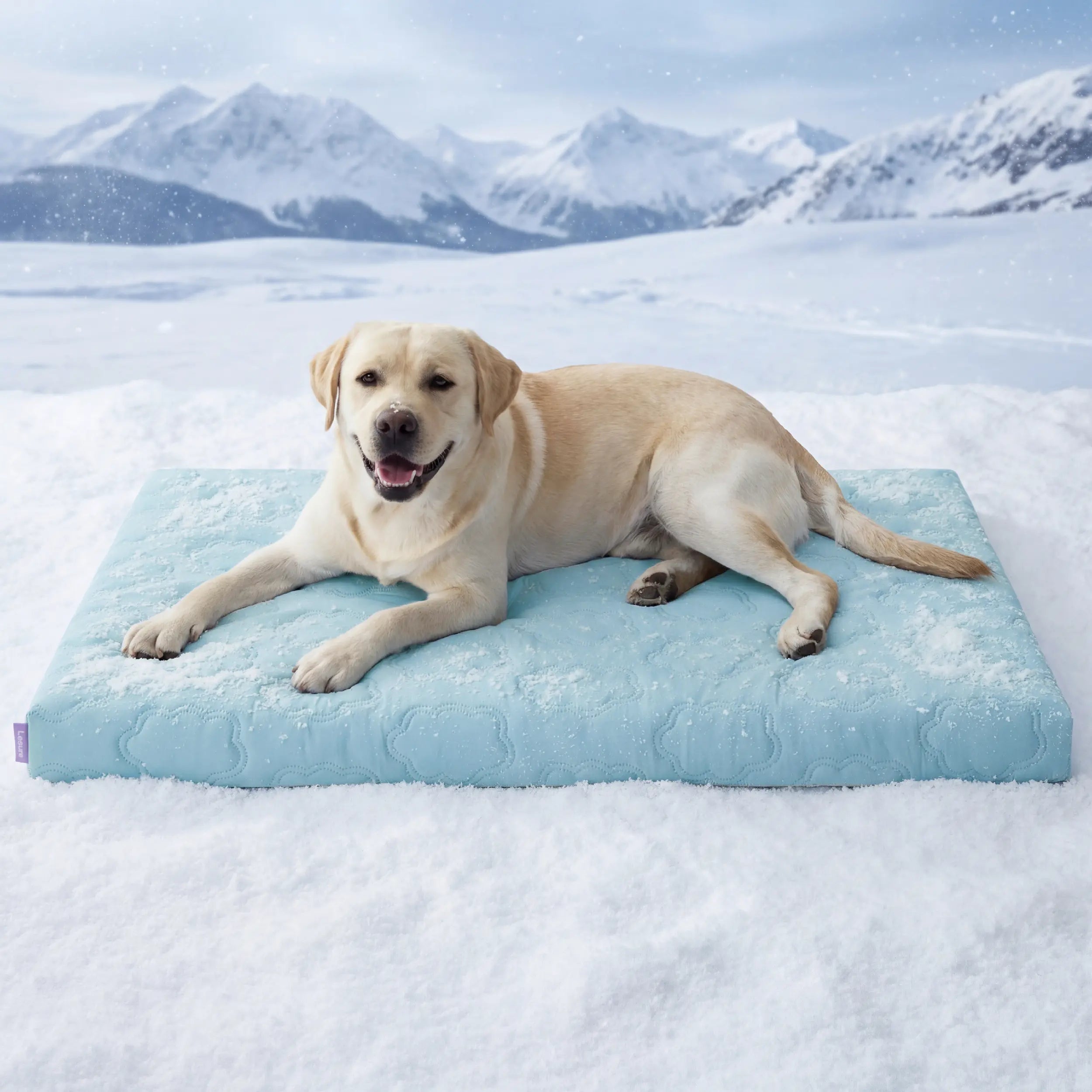 Cama Talla XL para Perros