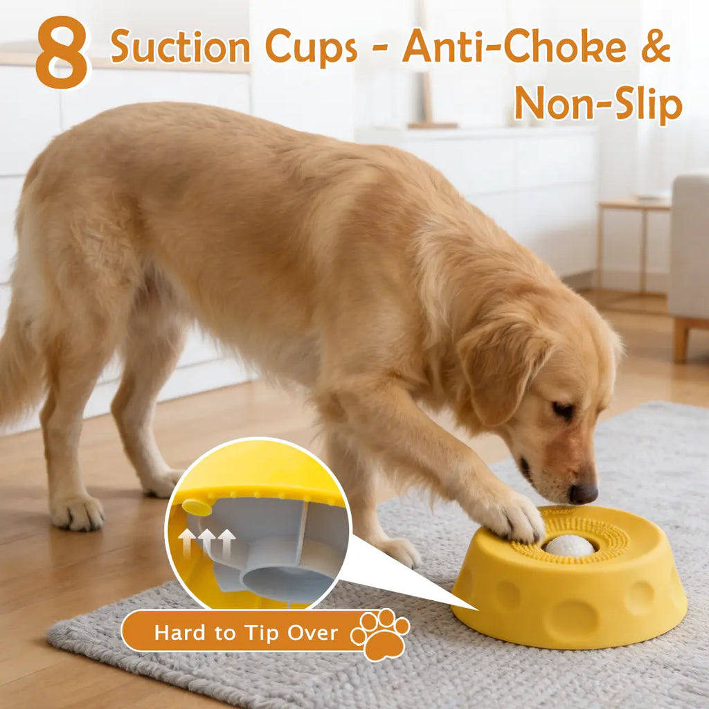 Premio Natural para Perros Slate Grey - imagen 5